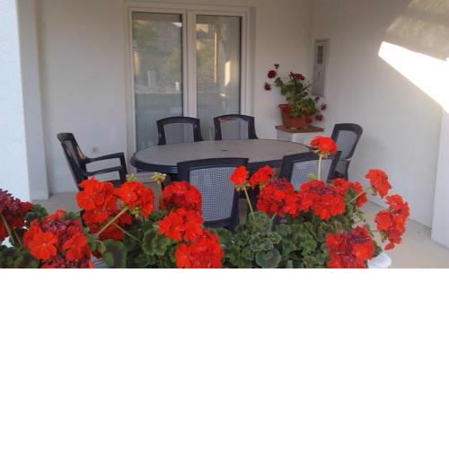 Apartments Zvonimir