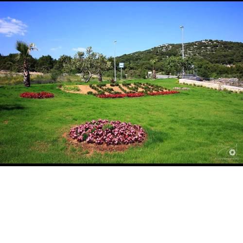 App Oliva