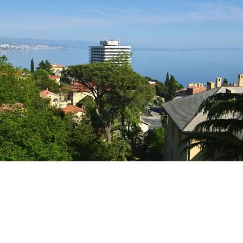 Bellevue Apartment