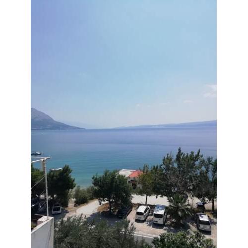 Best price apartment luka