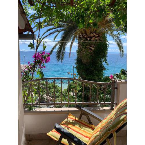 Bouganville seafront studio