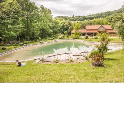 Country house with a pool in Medvednica Nature Park
