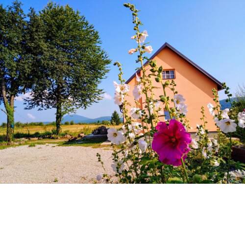 Dolina mira/ Peace valley