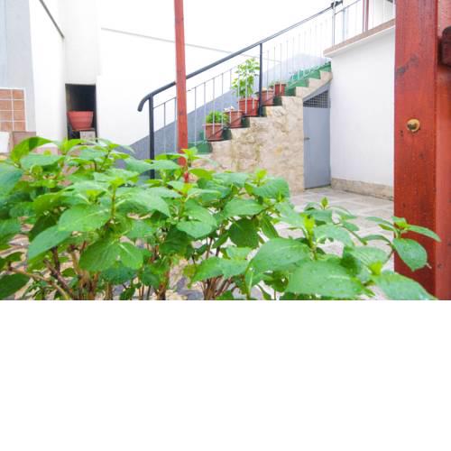 Dusica apartments