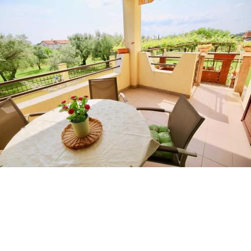 Family Apartment With Olive Grove