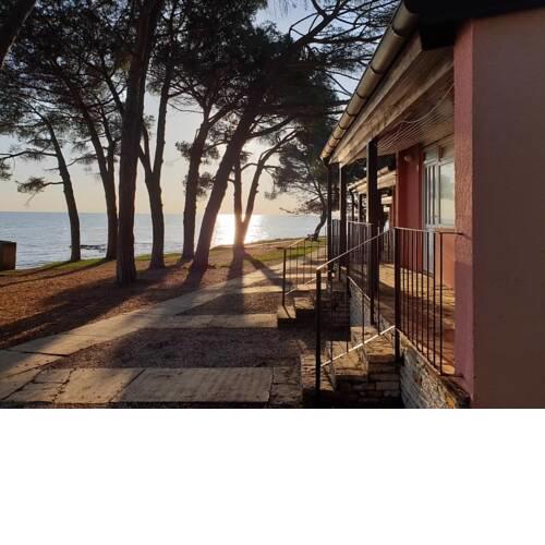 Family Bungalow Pineta
