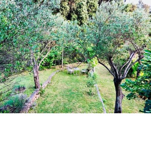Family friendly apartments with a swimming pool Supetarska Draga - Gonar, Rab - 17860