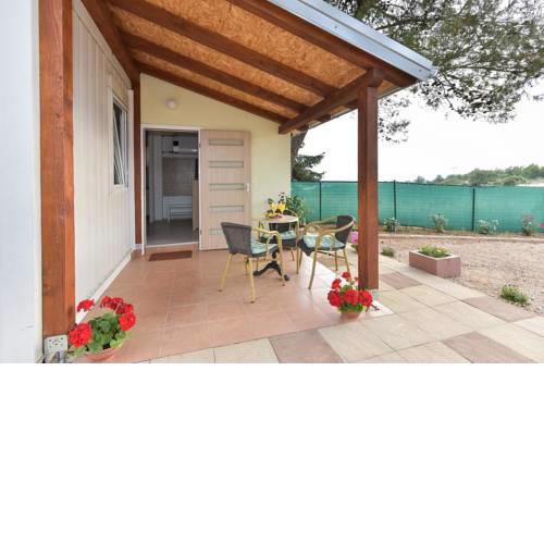 Family friendly apartments with a swimming pool Sveti Filip i Jakov, Biograd - 17192