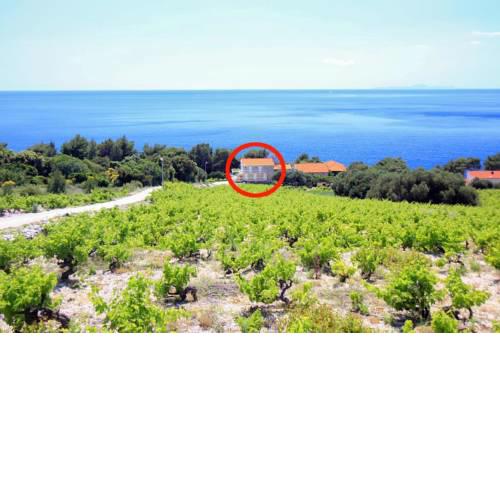 Family friendly seaside apartments Dingac - Borak, Peljesac - 18060