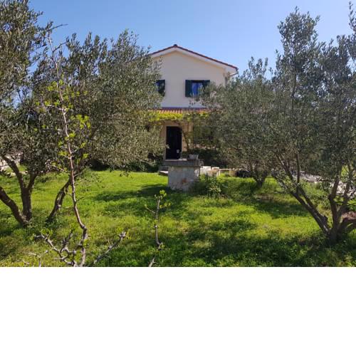 Family House with Olive Tree Garden