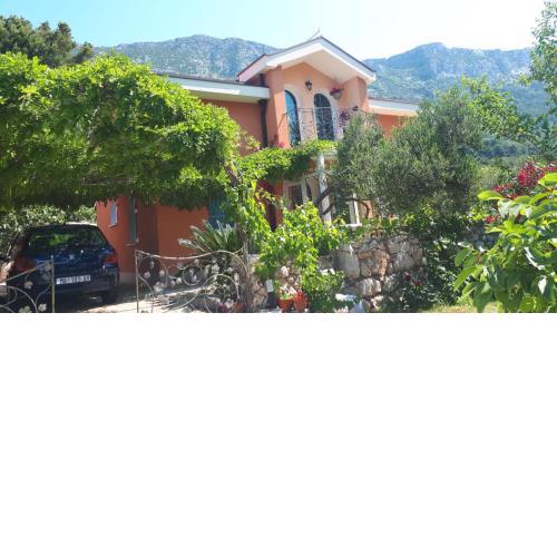 Ferienhaus Olive Tree