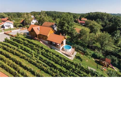 Four-Bedroom Holiday Home in Velika Buna