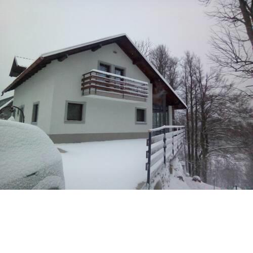 Gorska zvijezda