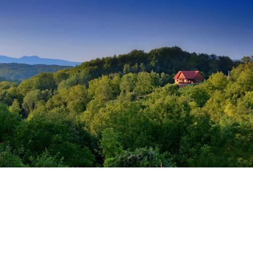 Green silence