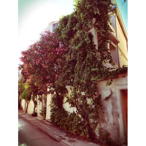 Guest House Neho
