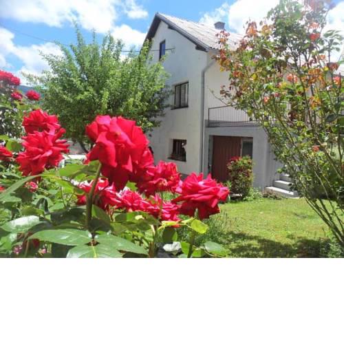 Guest House Olbina