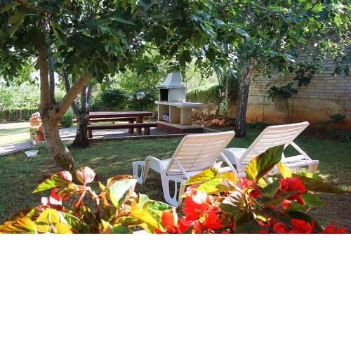 Holiday Home Adam