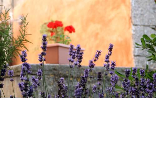 Holiday Home Bale - Valle