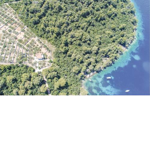 Holiday home Brna Kosirina