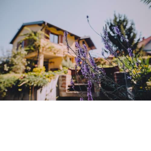 Holiday Home Castanea