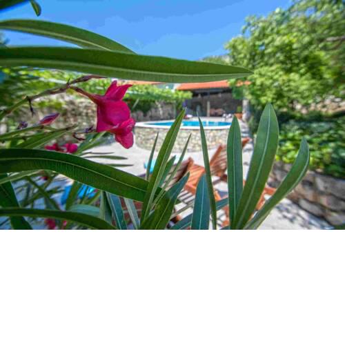 Holiday home in Kostelj 39300