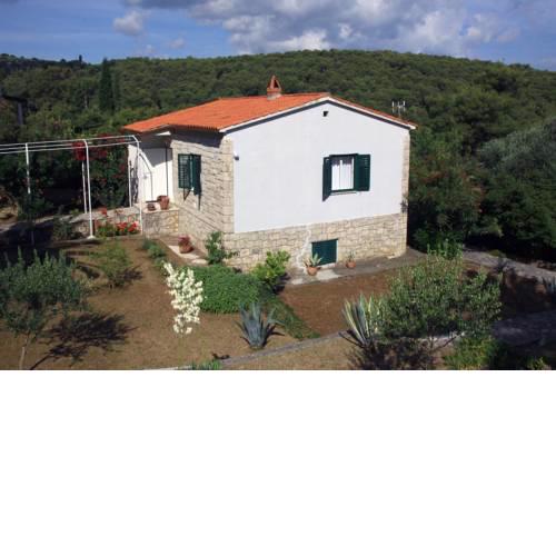 Holiday home in Postira/Insel Brac 36155