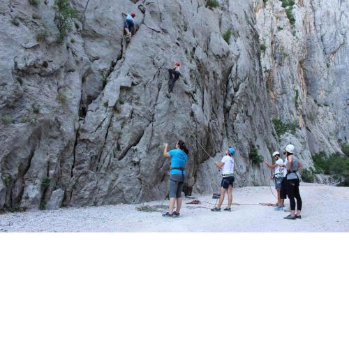 Holiday home in Starigrad-Paklenica 41708