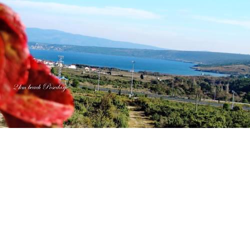 Holiday Home Kamenica