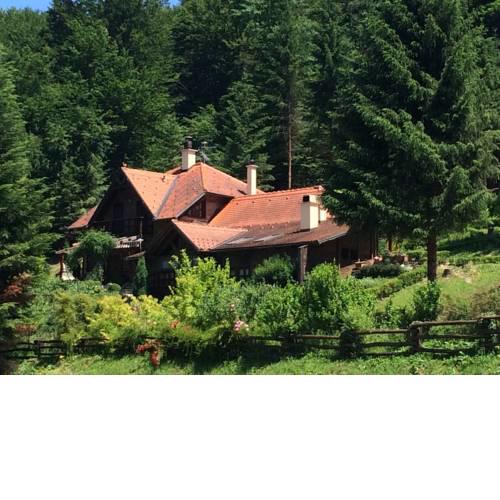 Holiday Home Tonkina kuća