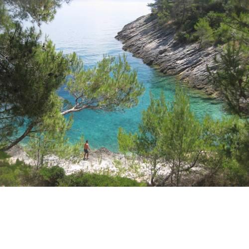 Holiday home Veseli
