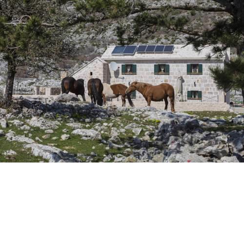Holiday Home Vrata Biokova