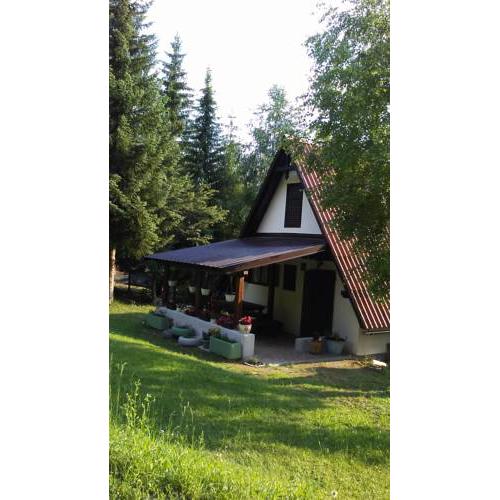 Holiday house Nature