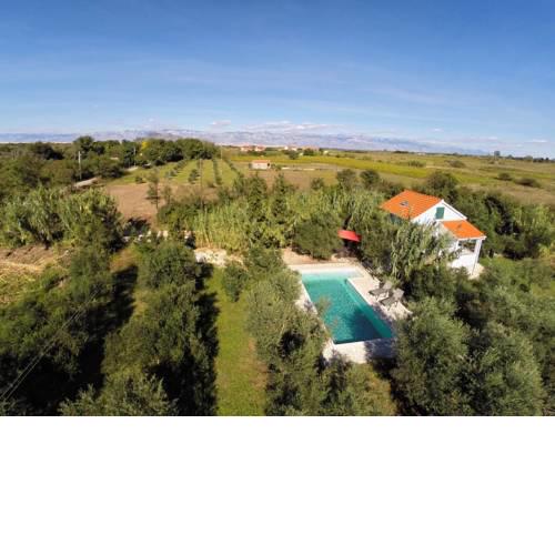Holiday house Olive Trees