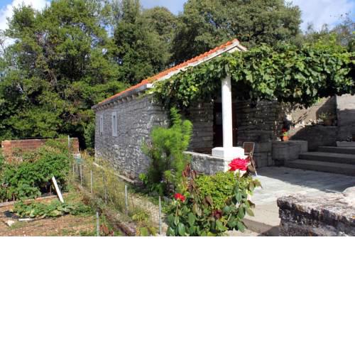 Holiday house with WiFi Zrnovo, Korcula - 4876