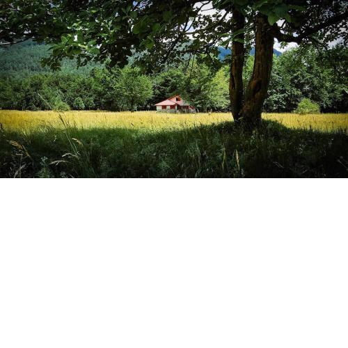 House for writers
