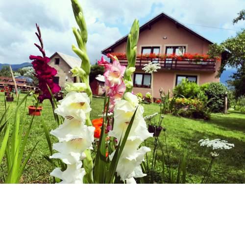 House Ivona
