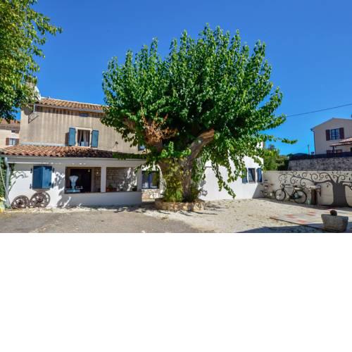House Micini