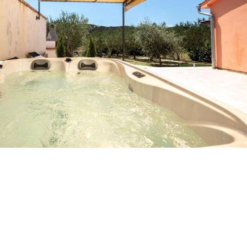 House Olive tree
