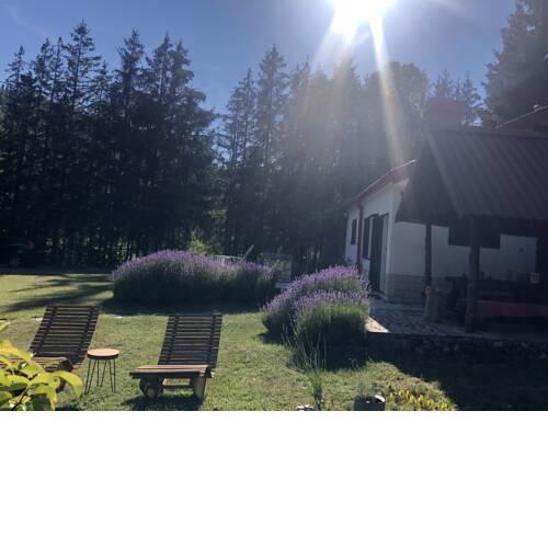 Lavender Cottage Lukovo
