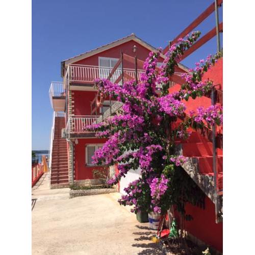 Lipovac resort Ficus