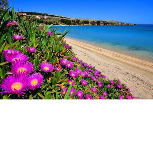 Little Heaven on Earth