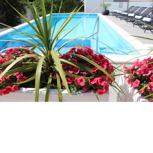 Luxury Apartment Antoni