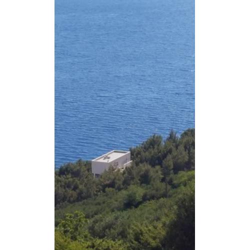 Luxury Apartment By The Sea