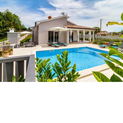 Mala Vala holiday house with a private pool