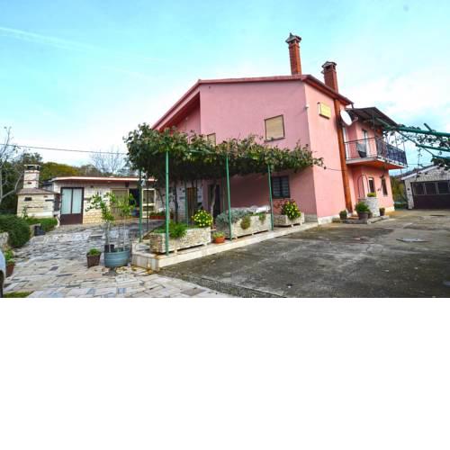 Miro Apartments