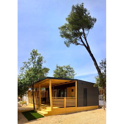 Mobile Home Butterfly