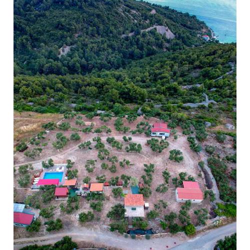 Camp Kopito