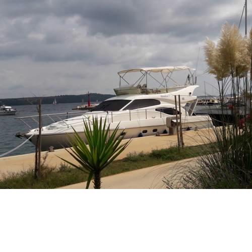 Motoryacht Paradise 2