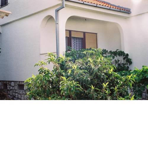 MV apartmani