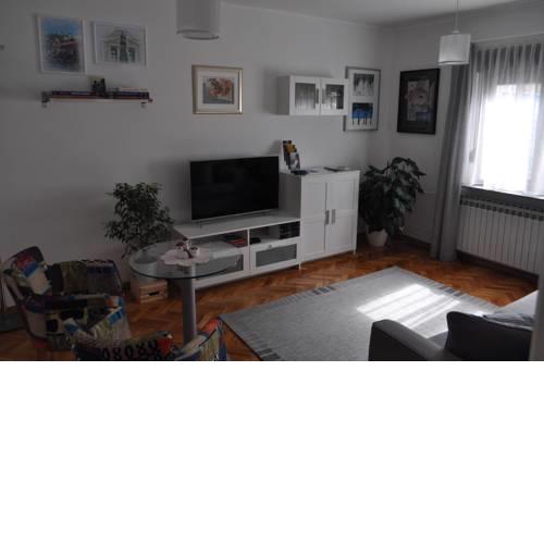 MZ Apartment
